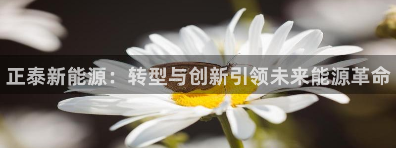 门徒娱乐网站有哪些软件：正泰新能源：转型