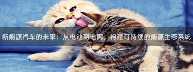 门徒第娱乐后:新能源汽车的未来:从电池到电网,构建可持续的能