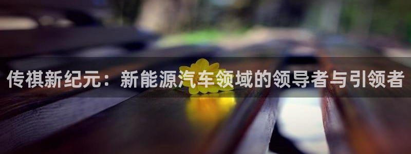 门徒娱乐软件有哪些平台：传祺新纪元：新能