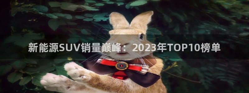 门徒娱乐注册平台有哪些：新能源SUV销量