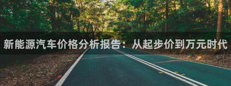 门徒娱乐老板是谁扮演的:新能源汽车价格分析报告:从起步价到万