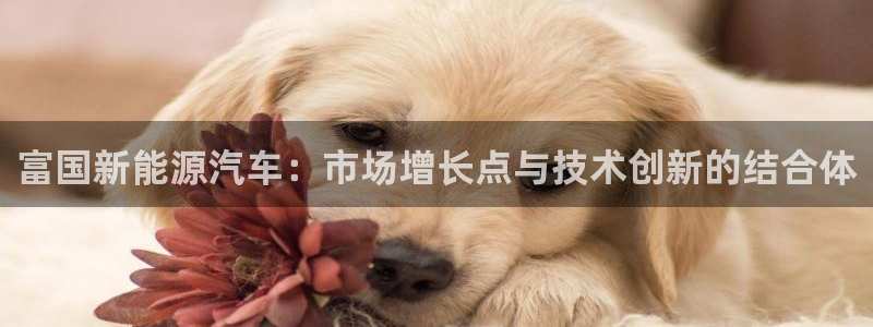 门徒娱乐怎么挂机不掉线：富国新能源汽车：