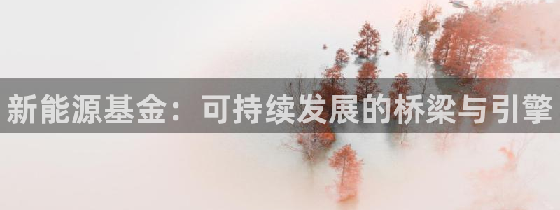 娱乐门徒qidian：新能源基金：可持续