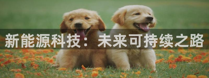 门徒娱乐前5指尖：新能源科技：未来可持续