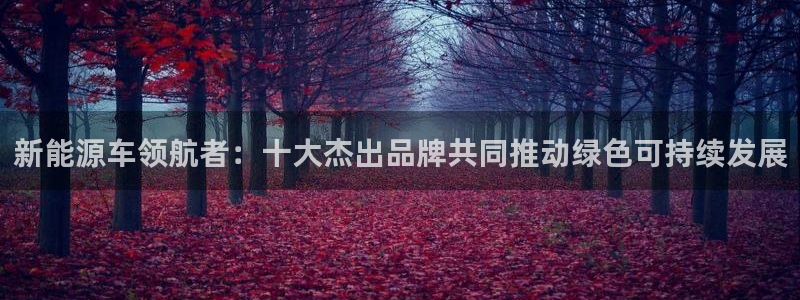门徒娱乐测速登陆:新能源车领航者:十大杰出品牌共同推动绿色可