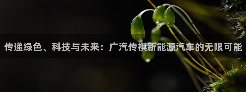 娱乐门徒123：传递绿色、科技与未来：广