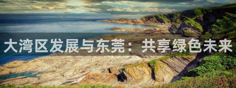 门徒娱乐黑钱事件：大湾区发展与东莞：共享