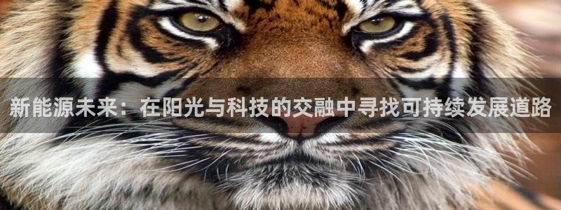 门徒娱乐代理注册多少钱：新能源未来：在阳