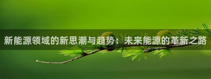 门徒娱乐几究7276O：新能源领域的新思