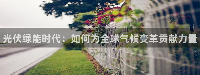 门徒娱乐平台介绍：光伏绿能时代：如何为全