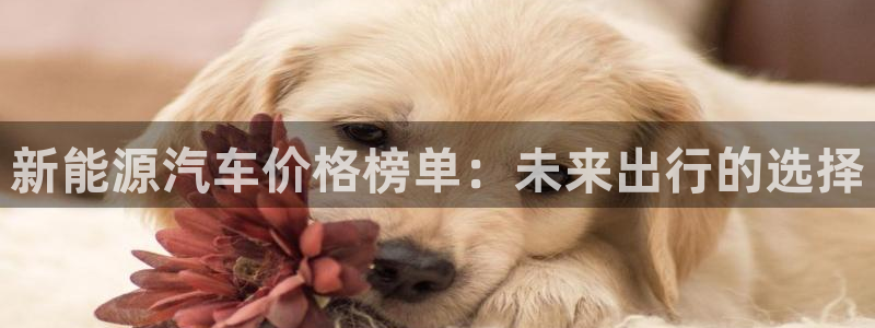 门徒娱乐和蓝狮在线：新能源汽车价格榜单：
