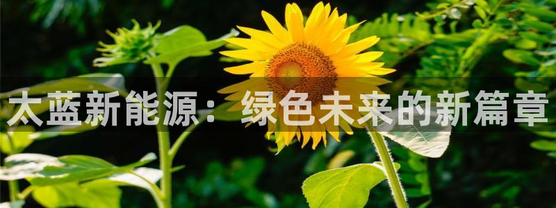 娱乐门徒类似小说网：太蓝新能源：绿色未来