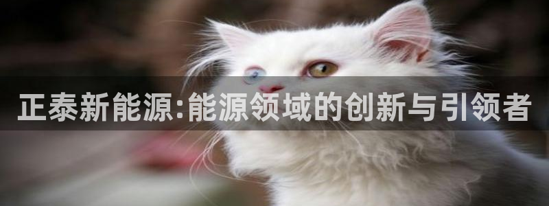 门徒娱乐彩票：正泰新能源:能源领域的创新