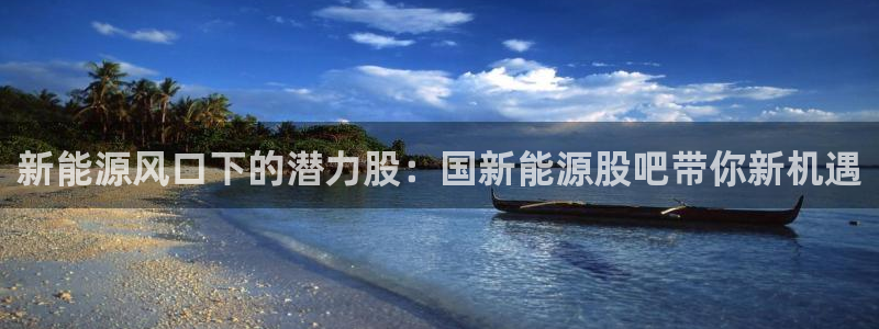门徒娱乐公司：新能源风口下的潜力股：国新